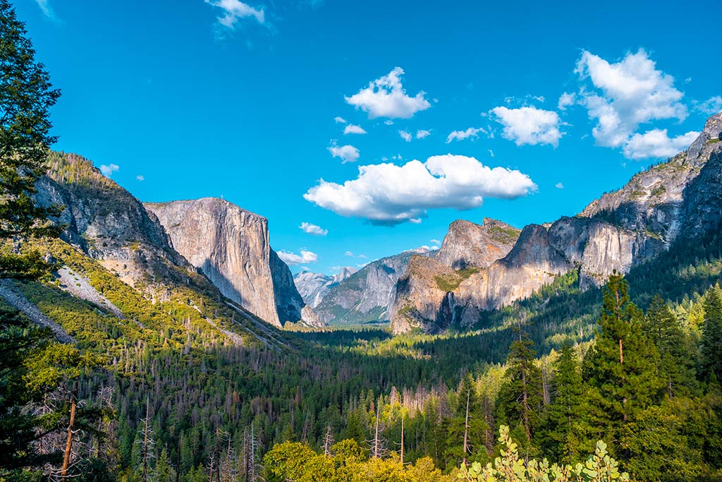 อุทยานแห่งชาติ ที่เที่ยวอเมริกา Yosemite National Park