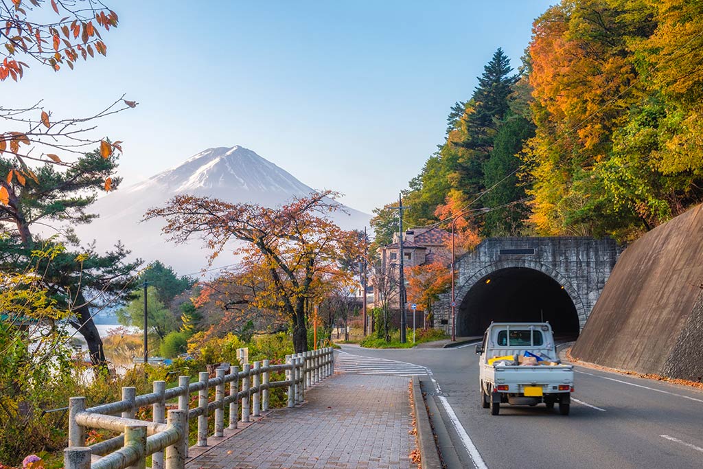 Fuji Kawaguchiko Autumn