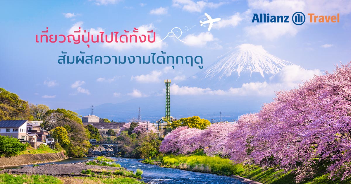 เที่ยวญี่ปุ่น ไปได้ทั้งปี สัมผัสความงามได้ทุกฤดู -  ประกันการเดินทางต่างประเทศ Allianz Travel