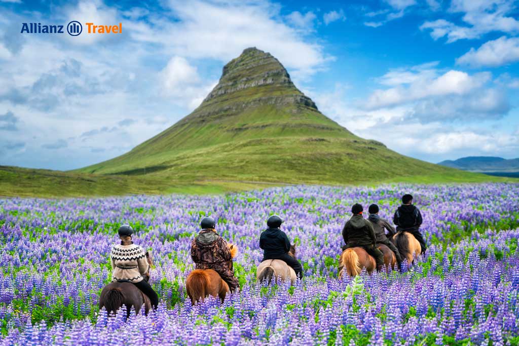 เที่ยวไอซ์แลนด์ฤดูร้อน