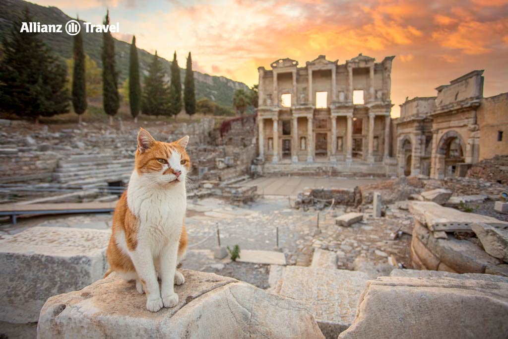 เที่ยวตุรกี เมืองโบราณเอฟิซัส (Ephesus)