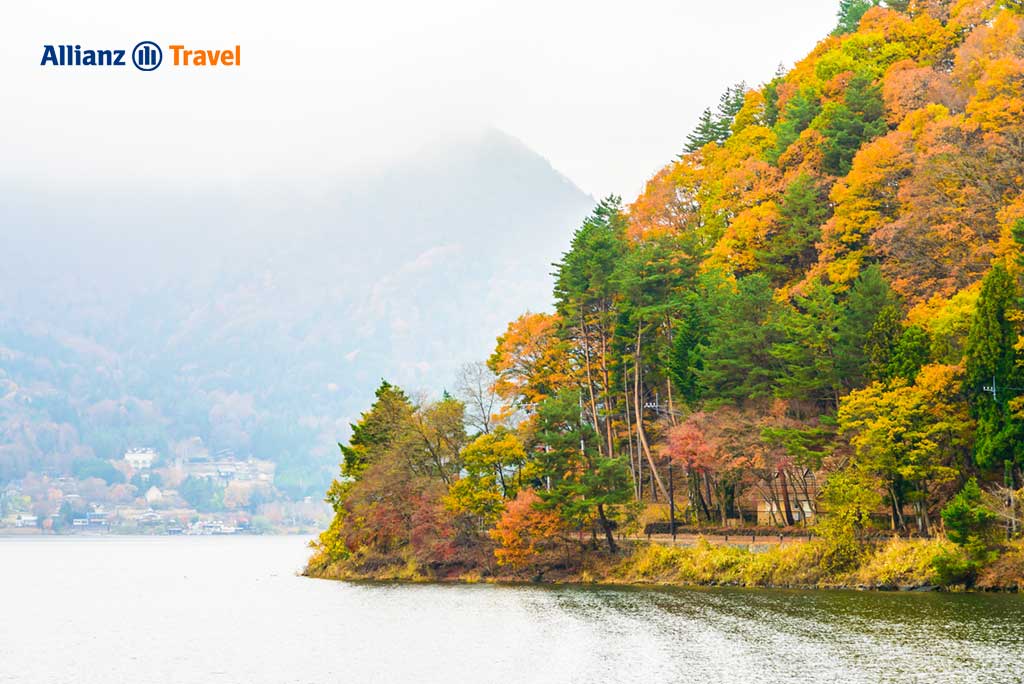 เที่ยวญี่ปุ่น ชมใบไม้เปลี่ยนสี ทะเลสาบคาวากุจิ (Kawaguchi)