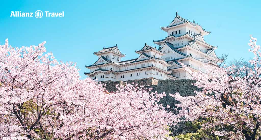 พยากรณ์ ซากุระ 2024 ญี่ปุ่น : ปราสาทฮิเมจิ (Himeji Castle) เมืองเฮียวโงะ