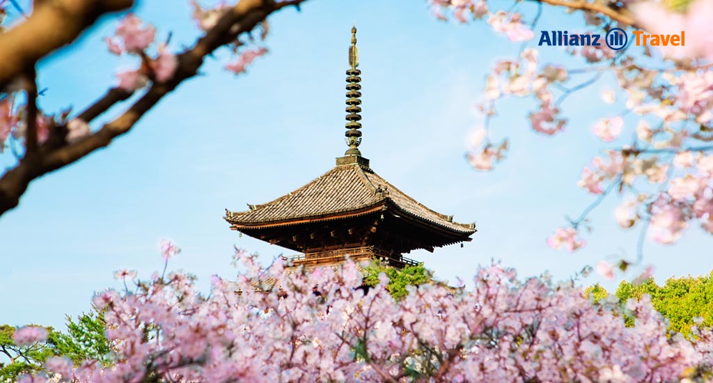 พยากรณ์ ซากุระ 2024 ญี่ปุ่น : วัดนินนาจิ (Ninna-ji Temple) เมืองเกียวโต