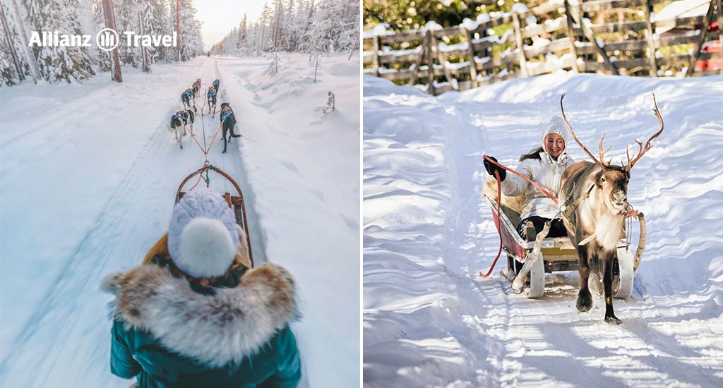 เที่ยวคริสมาสต์ ที่ฟินแลนด์ นั่งเลื่อนที่ลากด้วยสุนัขฮัสกี้และการนั่งเลื่อนกวางเรนเดียร์