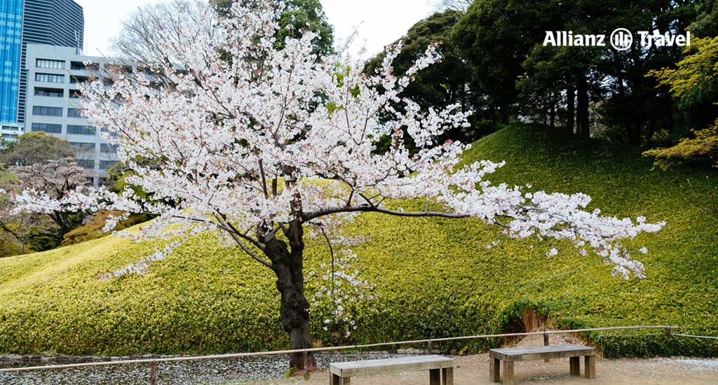 สวนโคอิชิคาวะโคระคุเอ็น (Koishikawa Korakuen Garden)
