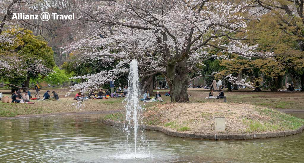 สวนโยโยงิ (Yoyoki Park)