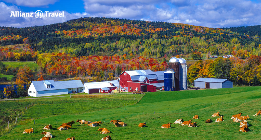 เทือกเขากรีนเมาเทนส์ รัฐเวอร์มอนต์ (Green Mountains – Vermont)