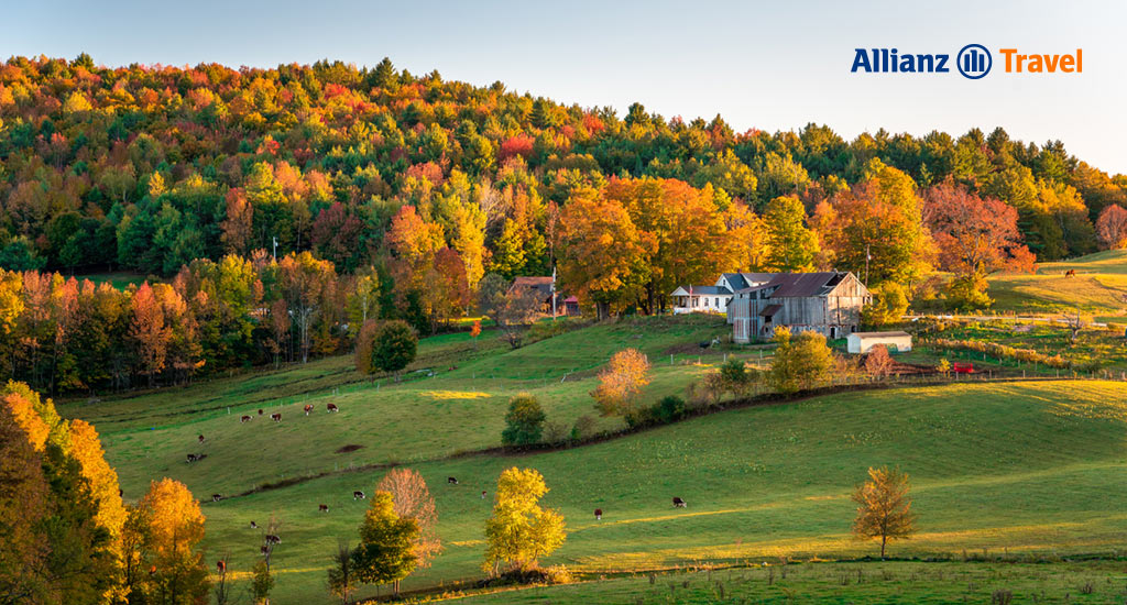 The Green Mountains, Vermont