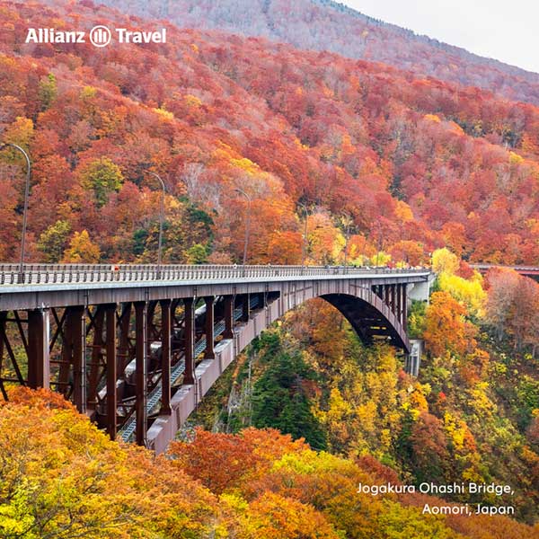 จุดชมใบไม้เปลี่ยนสี ญี่ปุ่น: สะพานโจกาคุระ (Jogakura Bridge)