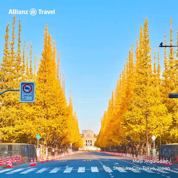 สวนเมจิจิงกูไกเอ็น (Meiji-jingu Gaien)