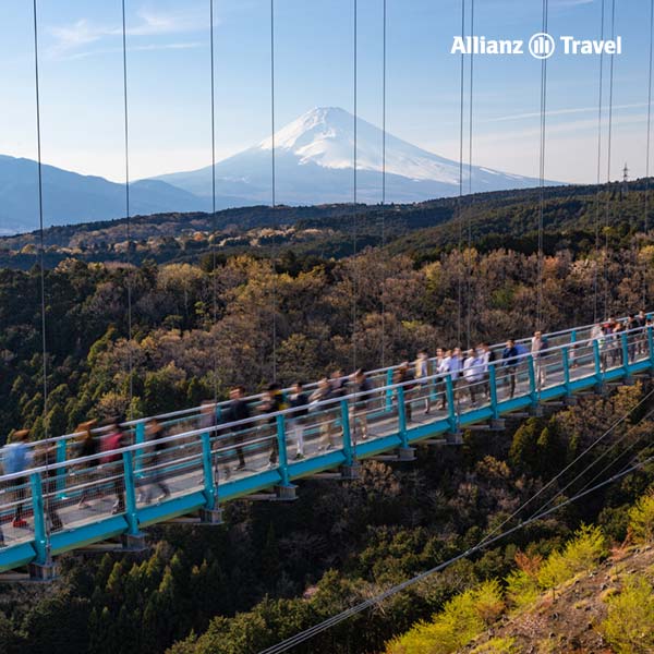 สถานที่ชมวิว ภูเขาไฟฟูจิ ในโตเกียว: Mishima Skywalk, Shizuoka