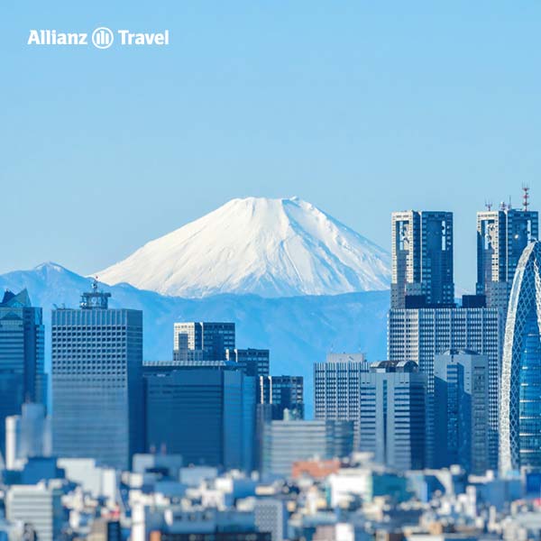 สถานที่ชมวิว ภูเขาไฟฟูจิ ในโตเกียว: Tokyo Skyline