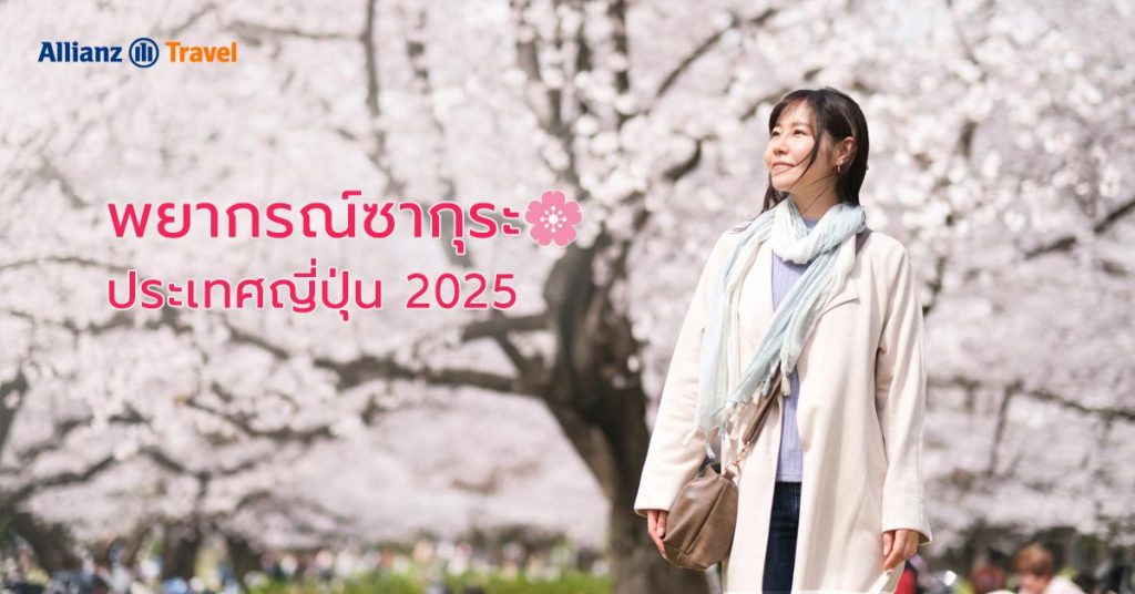 พยากรณ์ซากุระ ญี่ปุ่น 2025