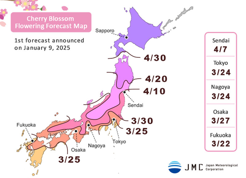 พยากรณ์ซากุระ ญี่ปุ่น 2025