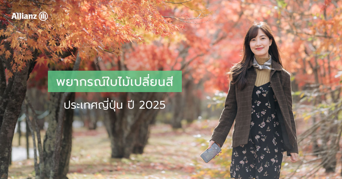 พยากรณ์ใบไม้เปลี่ยนสี ญี่ปุ่น 2025 - Autumn Foliage Forecast in Japan 2025