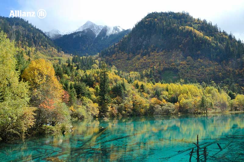 เที่ยวเฉิงตู : จิ่วไจ้โกว (Jiuzhaigou)