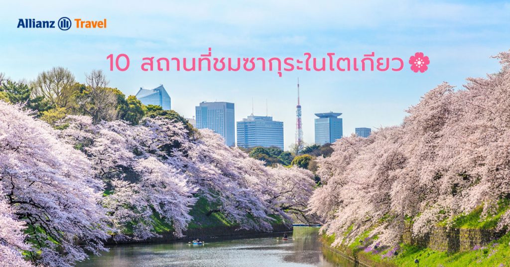 10 จุดชมซากุระโตเกียว ญี่ปุ่น