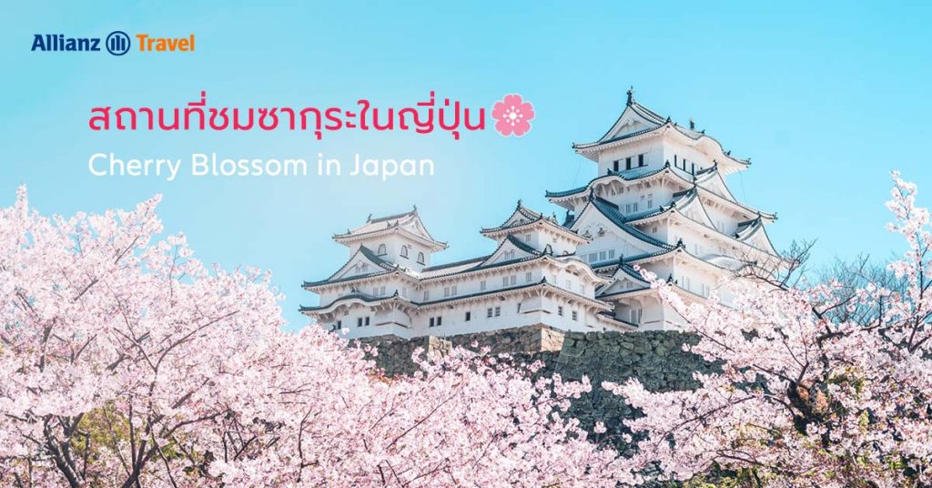 สถานที่ จุดชมซากุระ ญี่ปุ่น