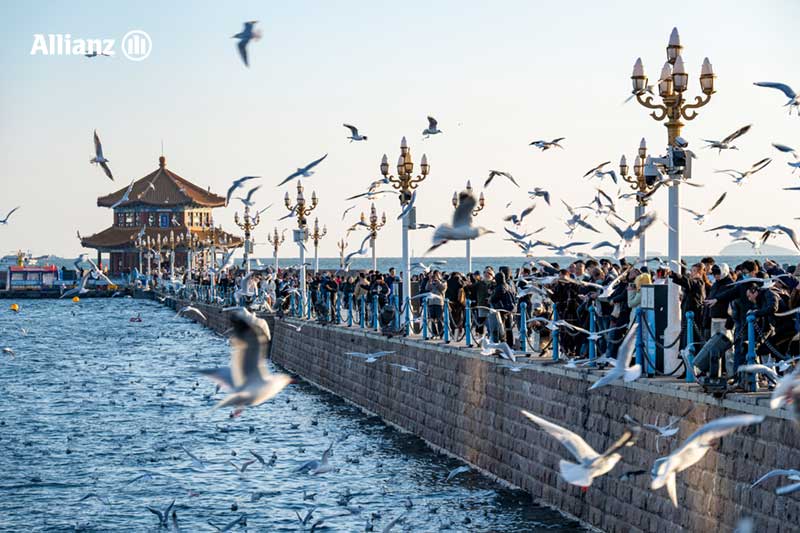 สะพานจ้านเฉียว (Zhan Bridge)