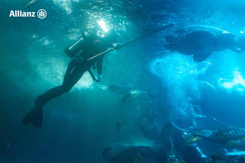 พิพิธภัณฑ์สัตว์น้ำชิงเต่า (Qingdao Underwater World)